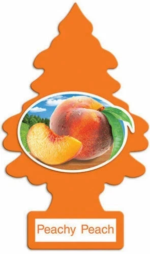 صورة 5