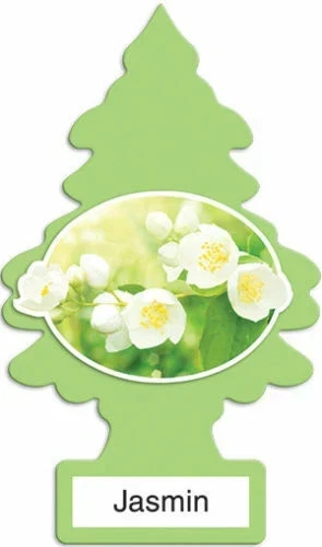 صورة 6