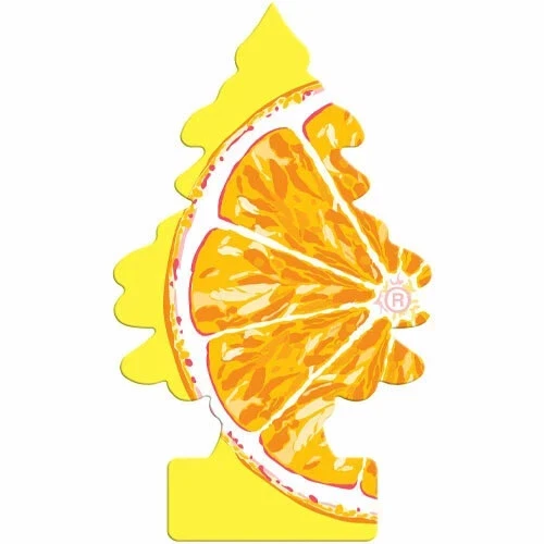 صورة 9